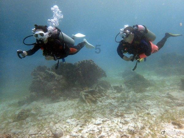 让民营企业鼓足信心敢闯敢干（治理者说）